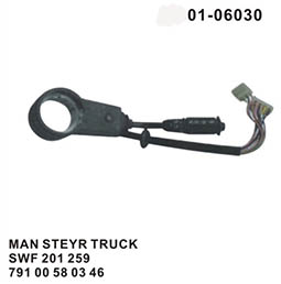 Combination switch 01-06030