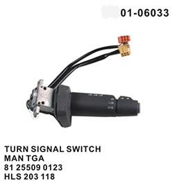 Combination switch 01-06033