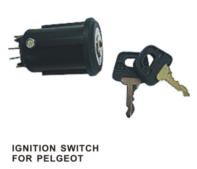 Ignition switch 02-01055