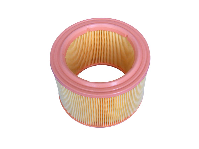 AIR FILTER AF-019