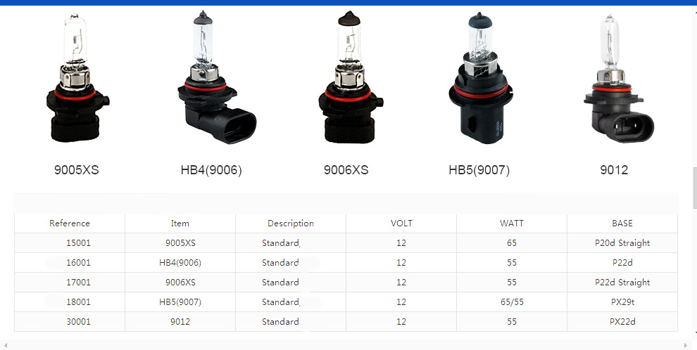 Halogen Bulb H4