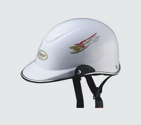 Helmet HO687